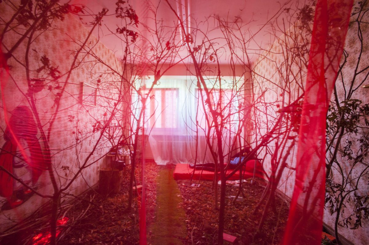 DSC_9475_Caroline Scharff