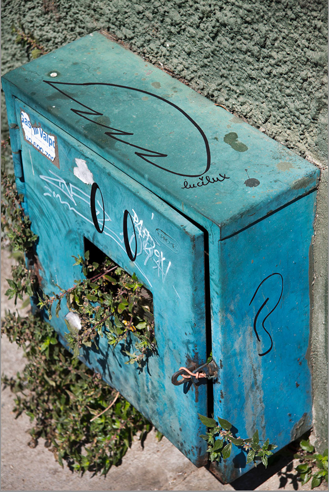 wallpaint_lucilux